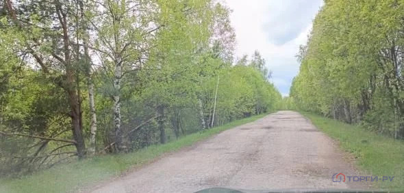 Продажа участка, Свобода, Вадский район - Фото 6