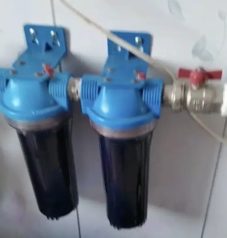 Курганская область Каргапольский р-он с. Брылино, ул. А. Антонова 18. - Фото 8