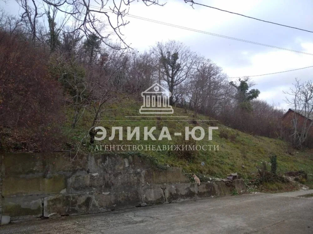 Продажа участка, Пляхо, Туапсинский район, ул. Совхозная - Фото 3