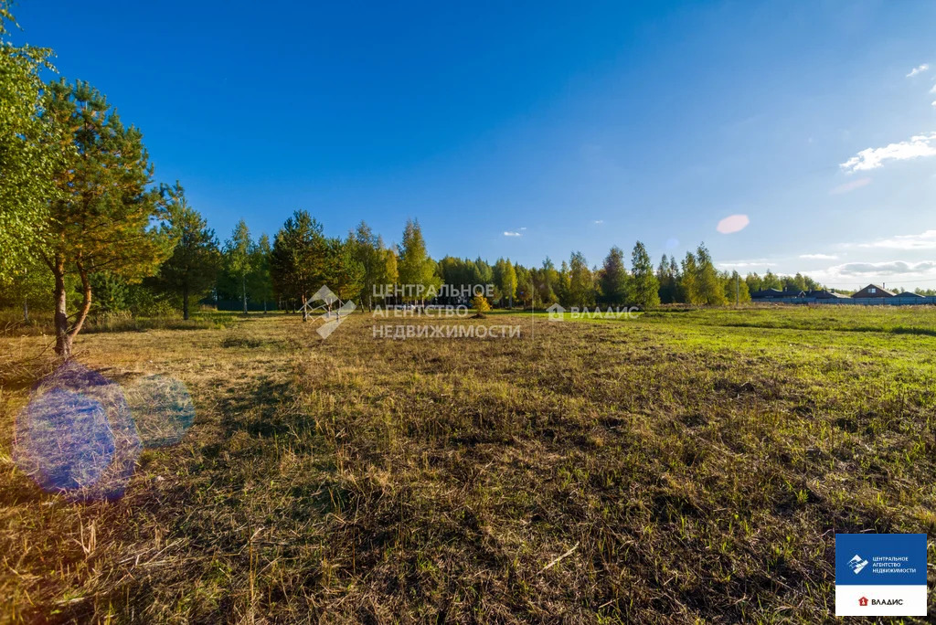 Продажа участка, Рязанский район - Фото 6