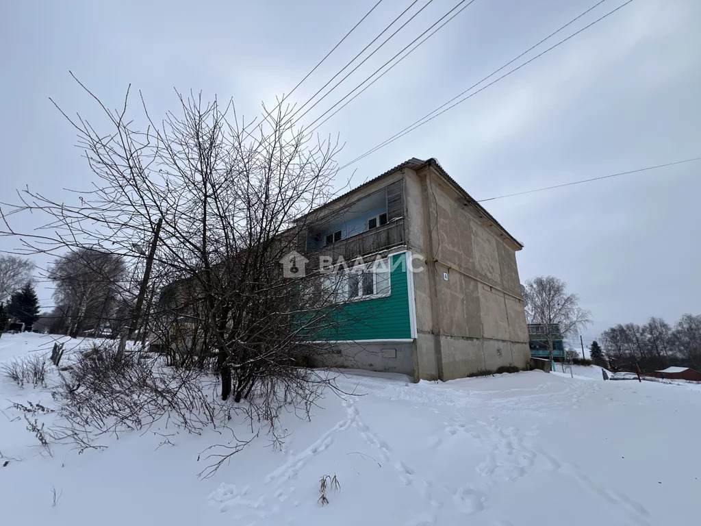 Суздальский район, село Старый Двор, Нагорная улица, д.4, 2-комнатная ... - Фото 15