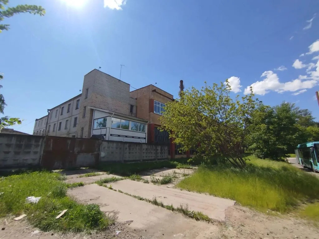Офис 113,2 м2 - Седова 107 - Фото 1