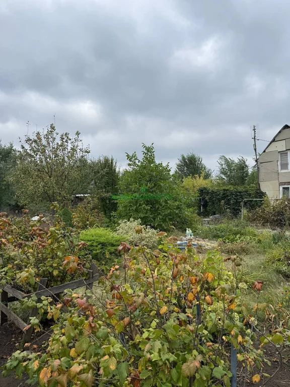 Продажа дома, Быково-Отрогское МО, Балаковский район, 626 - Фото 3