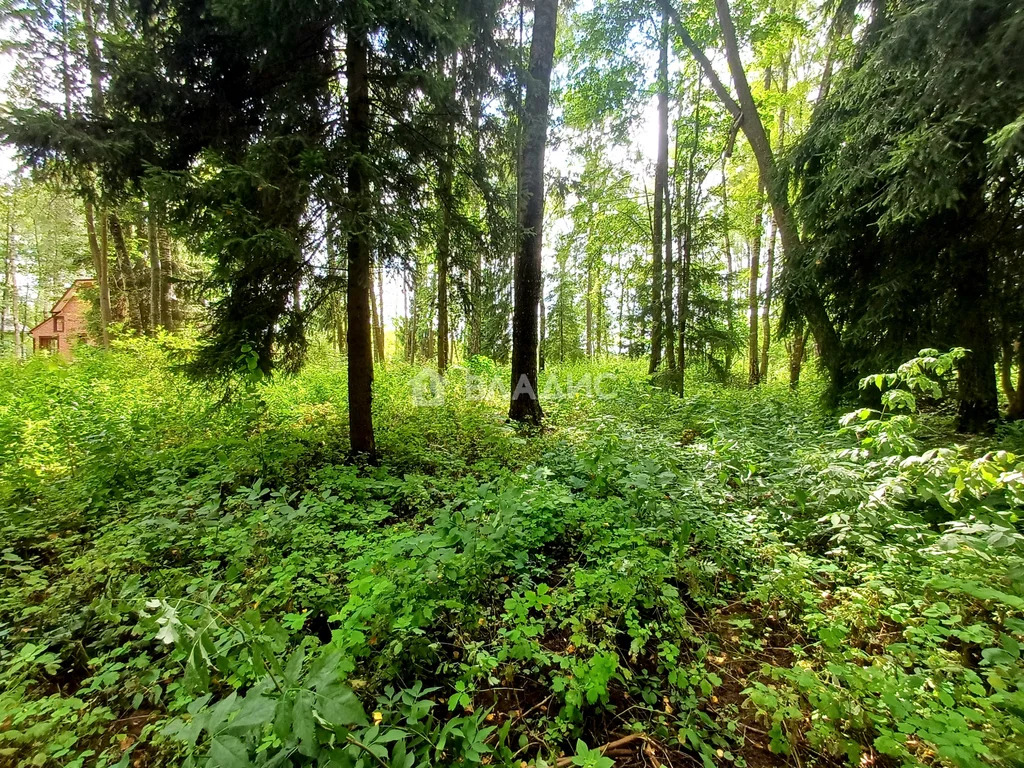 Троицкий административный округ, СНТ Лира, квартал № 410, квартал № ... - Фото 14