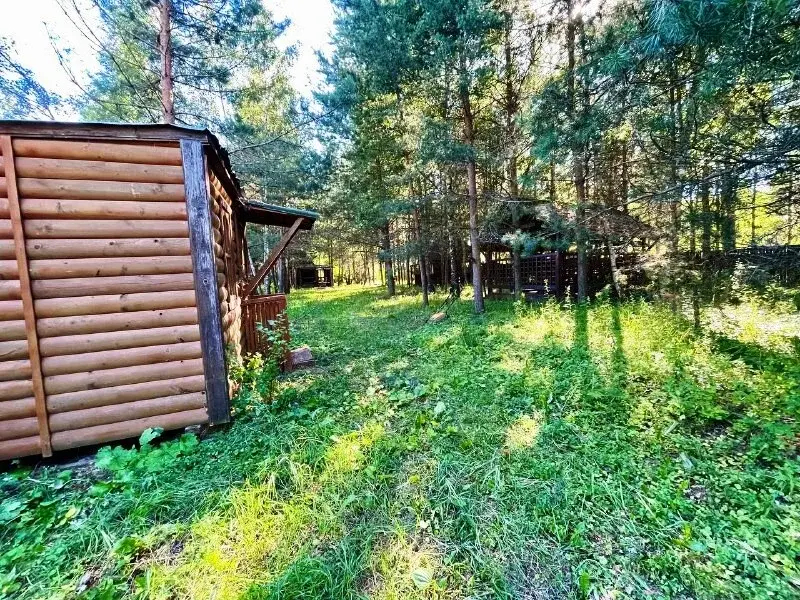 Дом в деревне Кудиновская - Фото 31