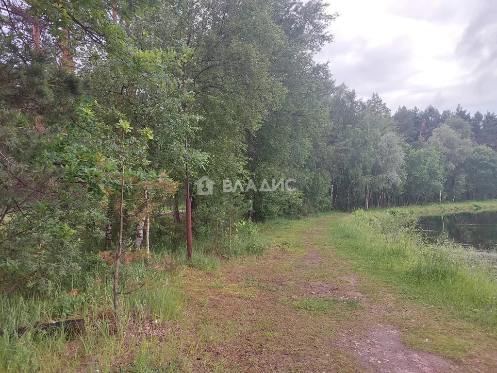 городской округ Владимир, посёлок Заклязьменский, Зелёная улица, д.2, ... - Фото 25