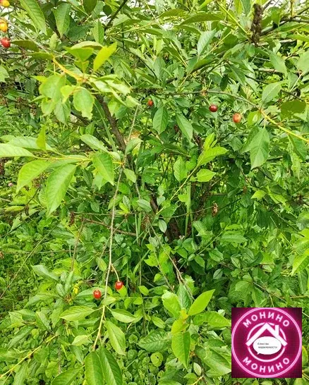 Продам дачу. - Фото 8