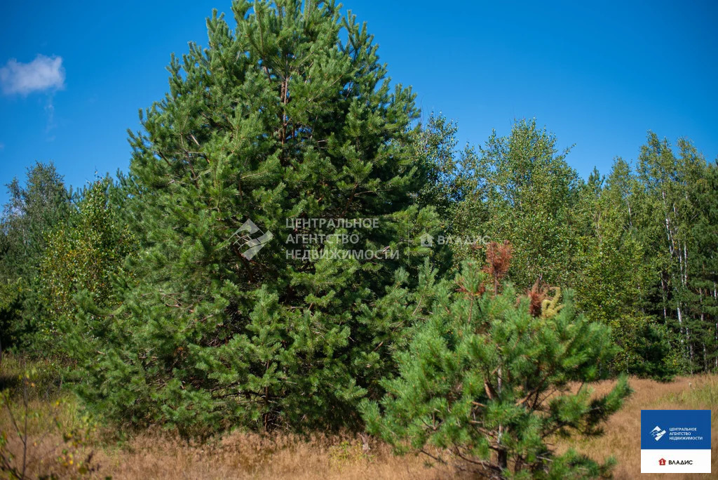 Продажа участка, Ушмор, Клепиковский район - Фото 1