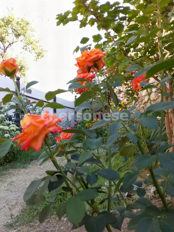 Продажа дома, Севастополь, ул. Мечникова - Фото 23