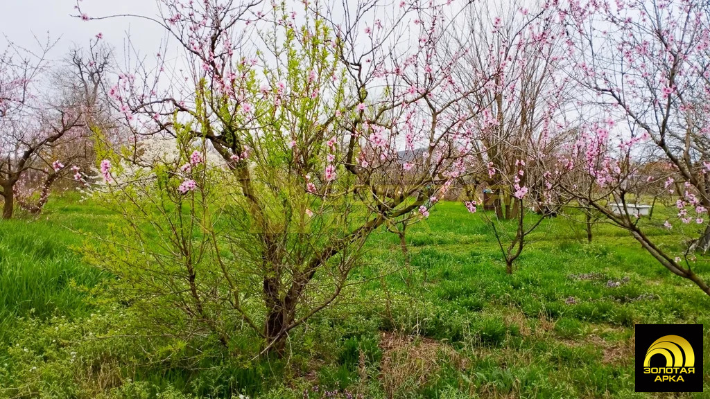 Продажа участка, Старотитаровская, Темрюкский район, Ильича пер. - Фото 6