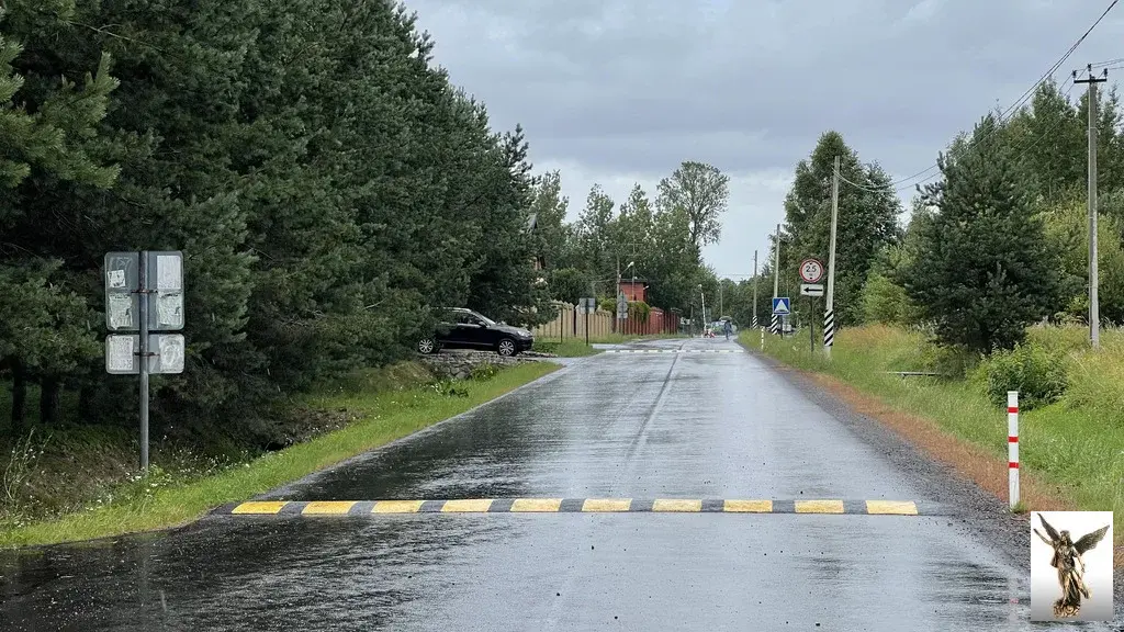 Земельный участок в ДНТ Поляна-2 (массив Белоостров) - Фото 12