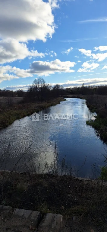 Гусь-Хрустальный район, село Колпь, Речная улица,  дом на продажу - Фото 29