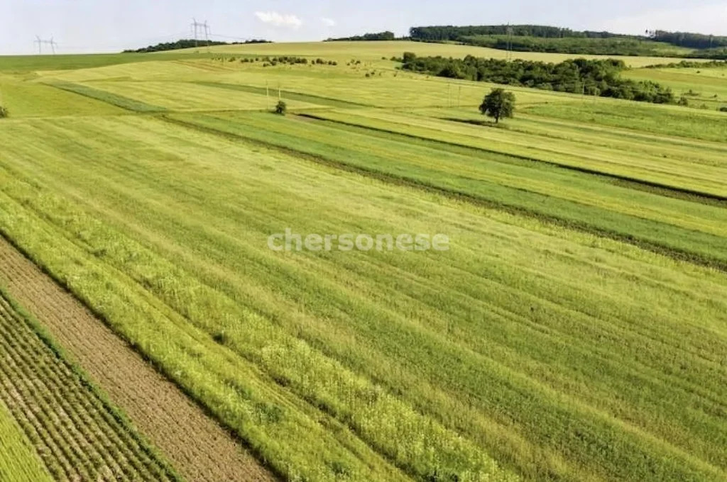 Продажа участка, Орловское, Красноперекопский район, улица Западная - Фото 3