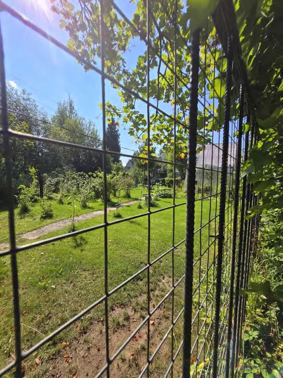 Продажа дома, Дмитровский район, СНТ Труд - Фото 14