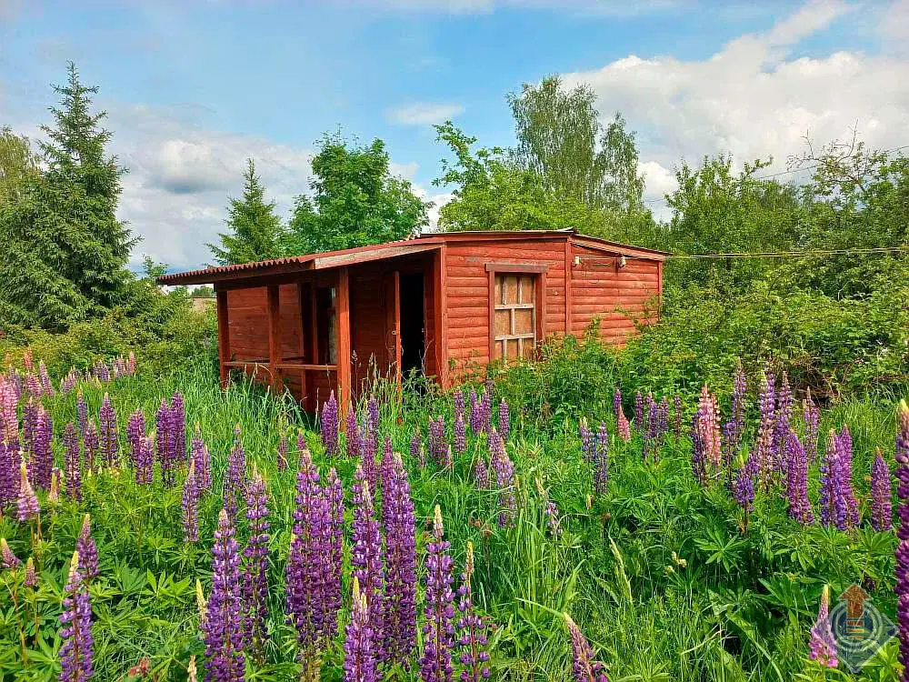 Продажа лесной дачи на 10 сот. в СНТ Порядино, Наро-Фоминский район - Фото 1