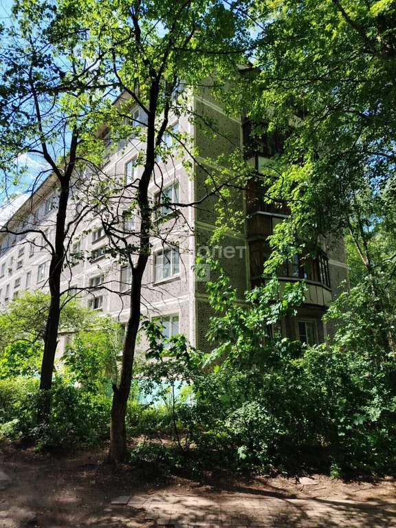 Продажа квартиры, Дмитров, Дмитровский район, ДЗФС мкр. - Фото 28