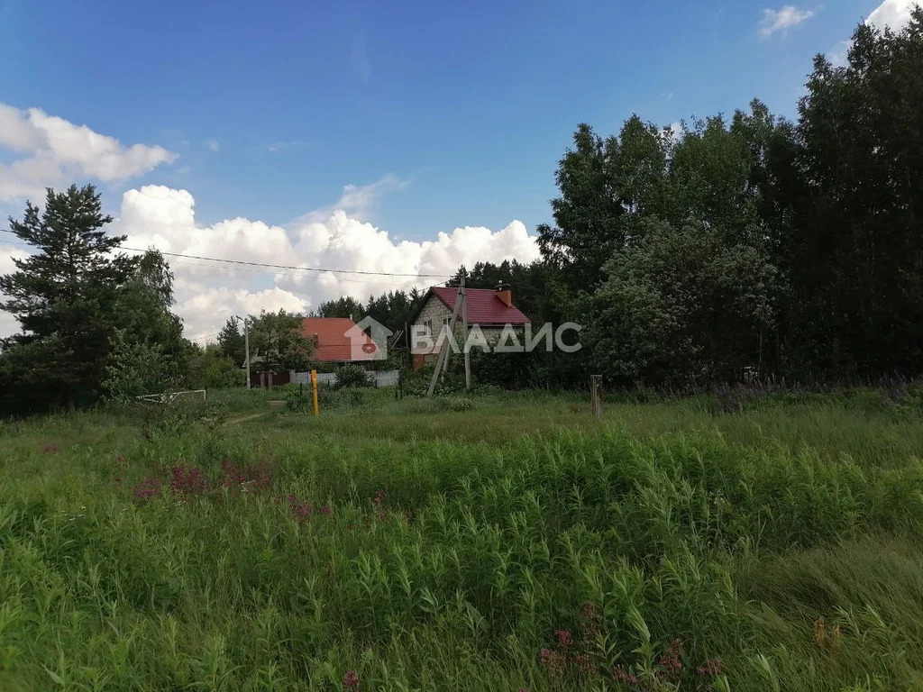 городской округ Владимир, Владимир, Октябрьский район, Селецкая улица, ... - Фото 12