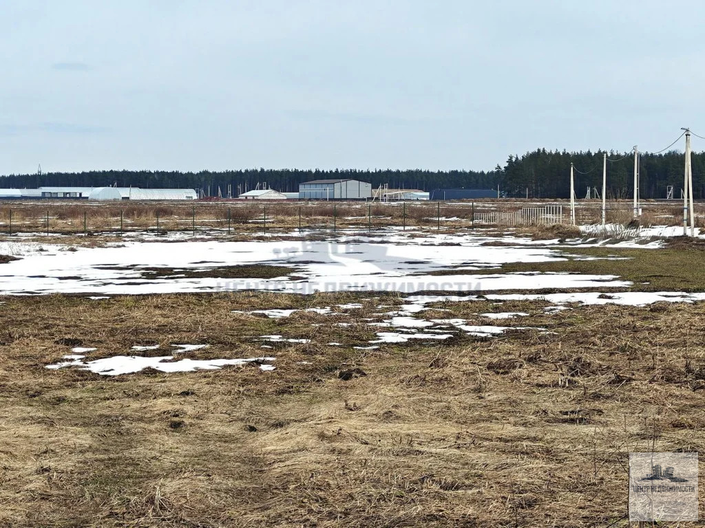 Продажа, участок 11.23 соток - Фото 4