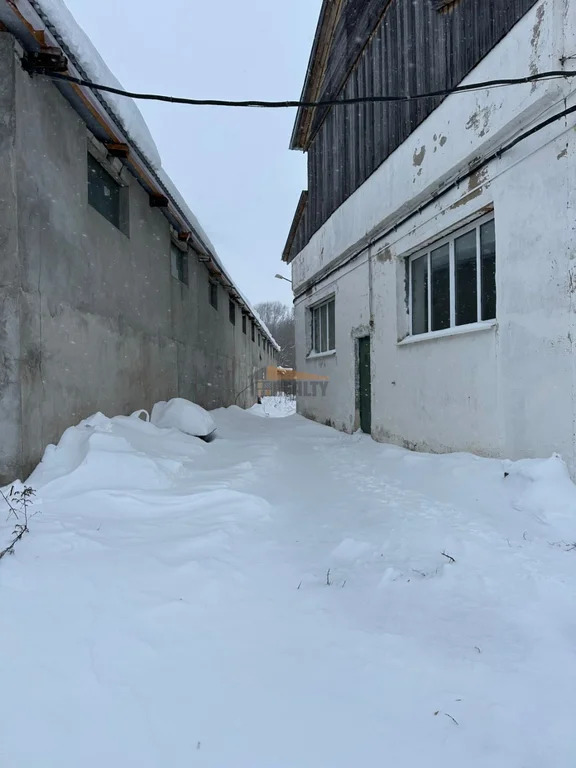 Аренда производственного помещения, Теряево, Волоколамский район, ул. ... - Фото 18