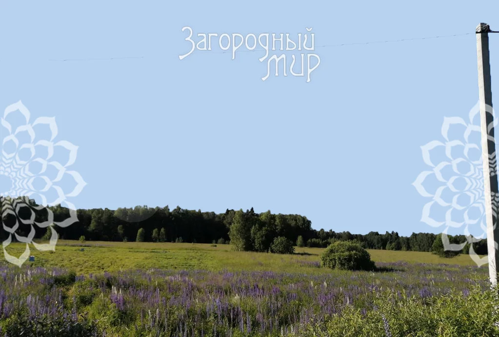 Продам участок, Ленинградское шоссе, 62 км от МКАД - Фото 2