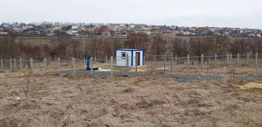 Улица буханова белгород. Белгород ул. Буханова. Улица Буханова в Белгороде. Буханова улица Беловское фото.