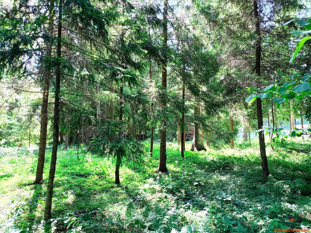 Продажа дома, Истра, Истринский район, Московская обл - Фото 29
