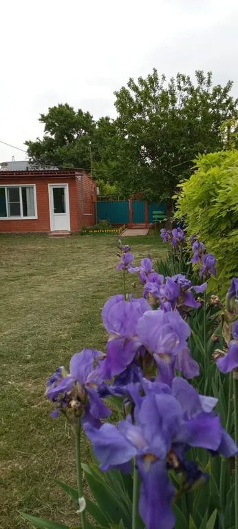 Продажа дома, Ильич, Темрюкский район, ул. Советская - Фото 25