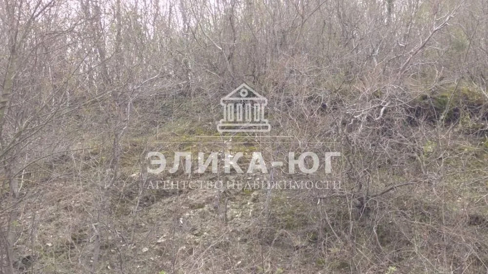 Продажа участка, Новомихайловский, Крымский район, Мира ул. - Фото 11
