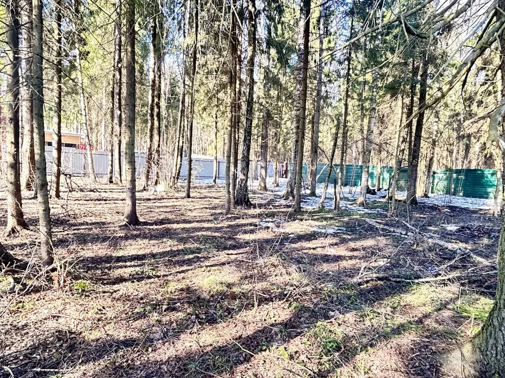 Продажа участка, Дмитровский район - Фото 9