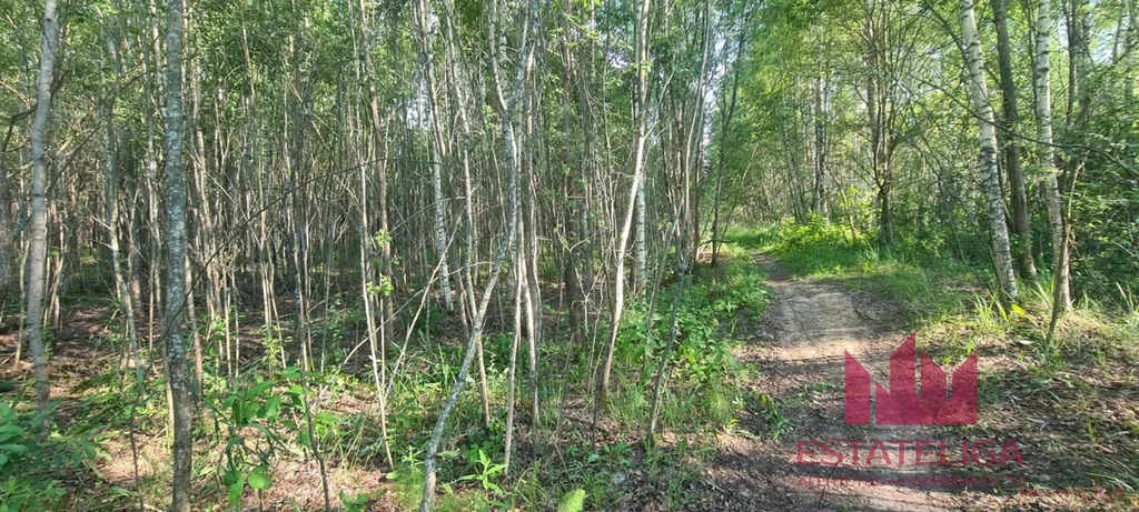 Продажа участка, Конаковский район, Третья улица - Фото 4