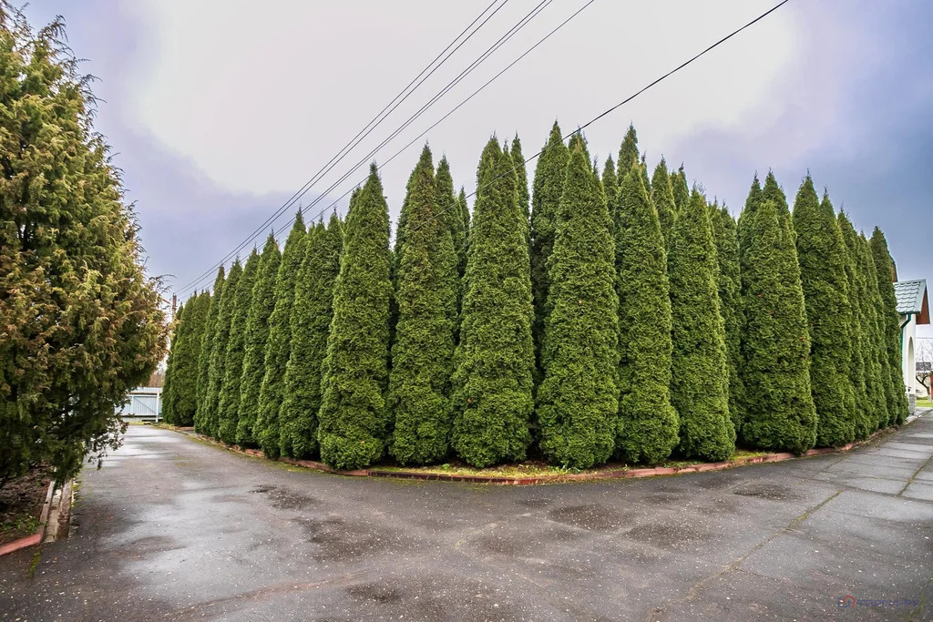 Продажа дома, Сергиево, Одинцовский район - Фото 10