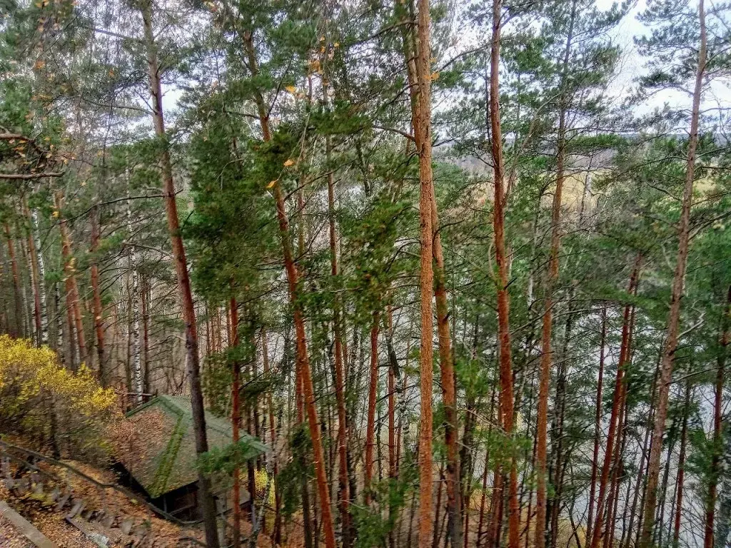 Участок на высоком берегу Москва - реки в Барвихе, Рублевка 5 км. - Фото 14