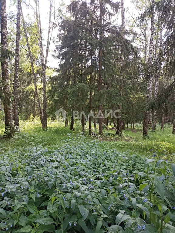 Наро-Фоминский городской округ, территория Участки в Плесенском,  дом ... - Фото 22