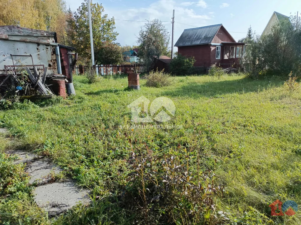 Новосибирский район, садовое товарищество Чайка, земля на продажу - Фото 4
