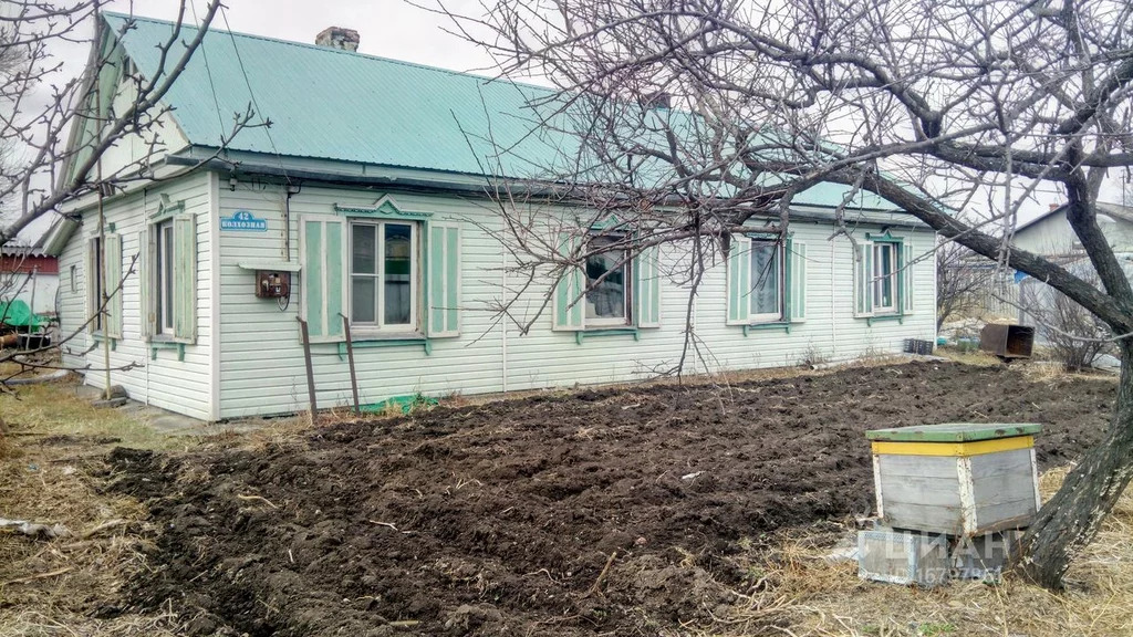 Погода борисовка приморский край. Село Борисовка Приморский. Улица Пионерская с. Борисовка Приморский край. Приморский край Уссурийск с. Борисовка.