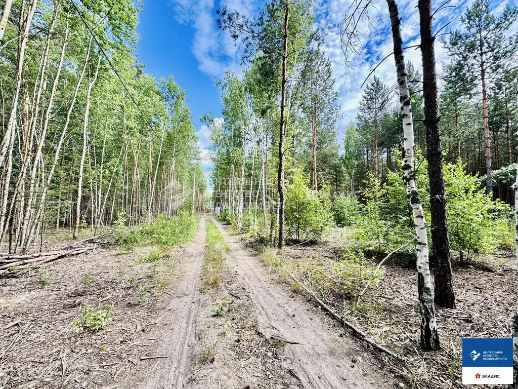 Продажа участка, Мурмино, Рязанский район - Фото 6