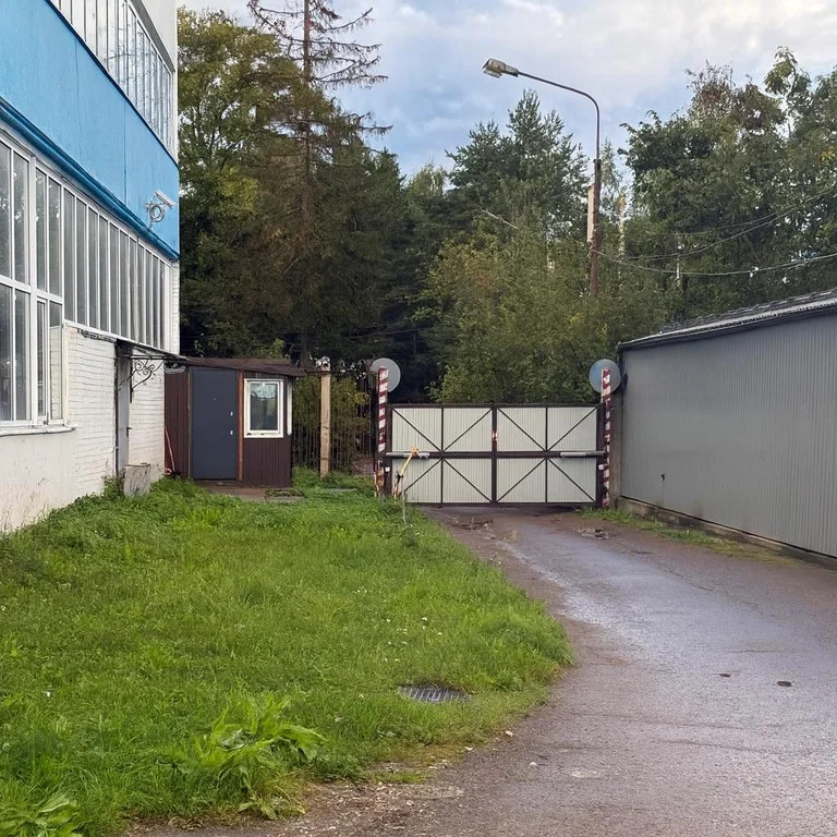 Аренда склада 1649.2 м2 - Фото 12