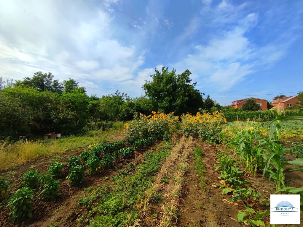 Продажа участка, Копанской, ул. Березовая - Фото 5