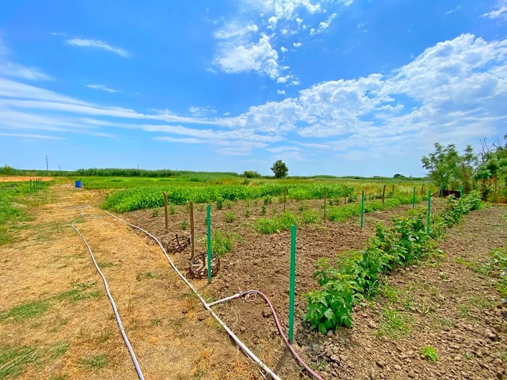 Продажа дома, Старонижестеблиевская, Красноармейский район - Фото 12