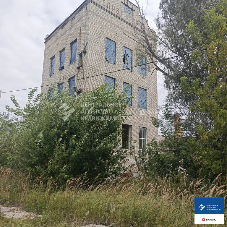 Продажа производственного помещения, Пертово, Чучковский район - Фото 11