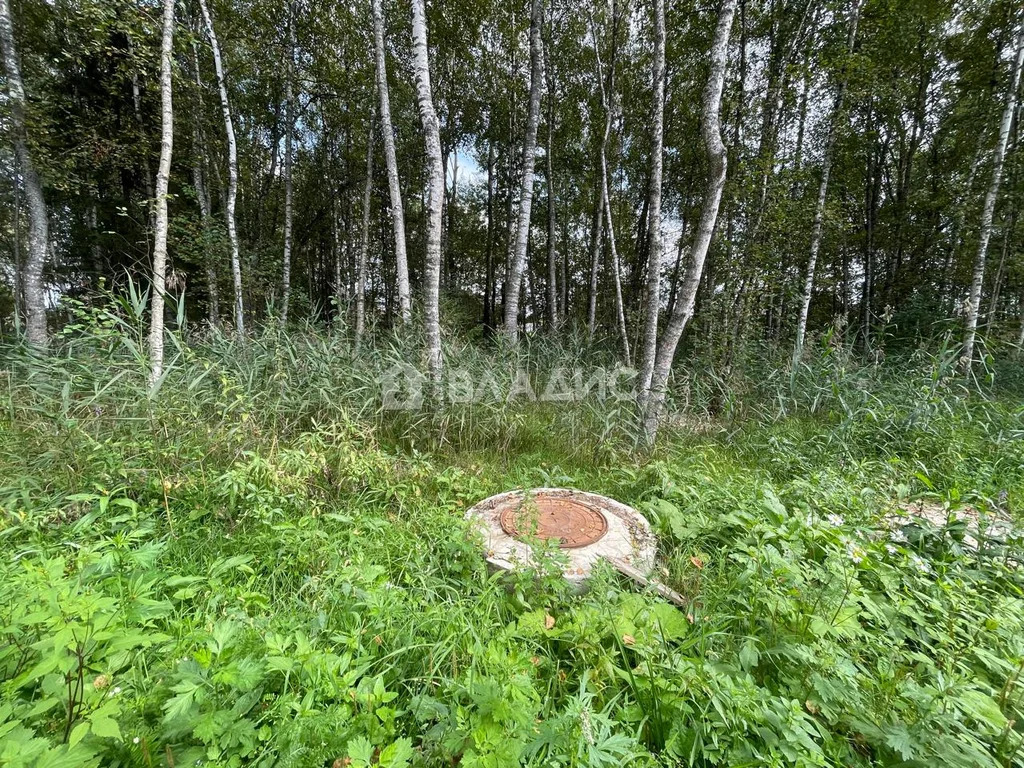 городской округ Истра, коттеджный посёлок Перелески,  земля на продажу - Фото 25