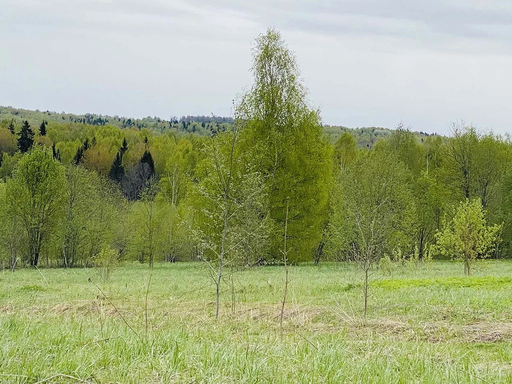 Продажа участка, Горбово, Дмитровский район - Фото 9