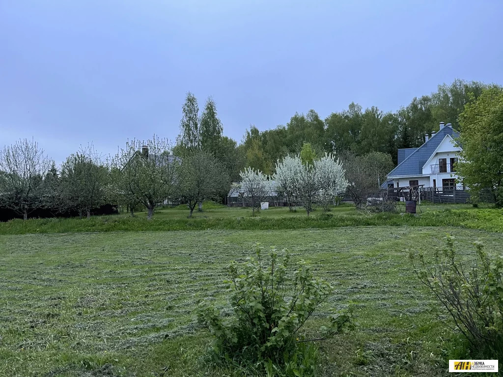 Долгиниха мытищинский. Деревня Долгиниха. Деревня Долгиниха фото.