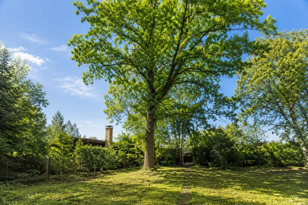 Продажа участка, Загорянский, Щелковский район, ул. Наречная - Фото 4