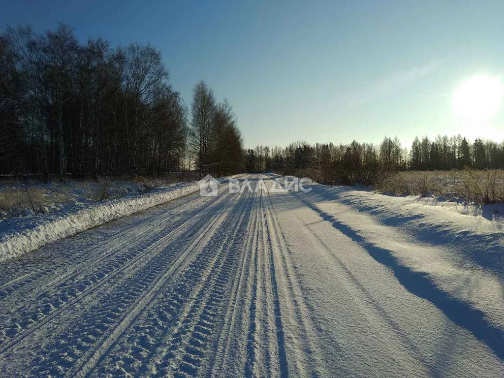 Камешковский район, село Лаптево,  земля на продажу - Фото 9