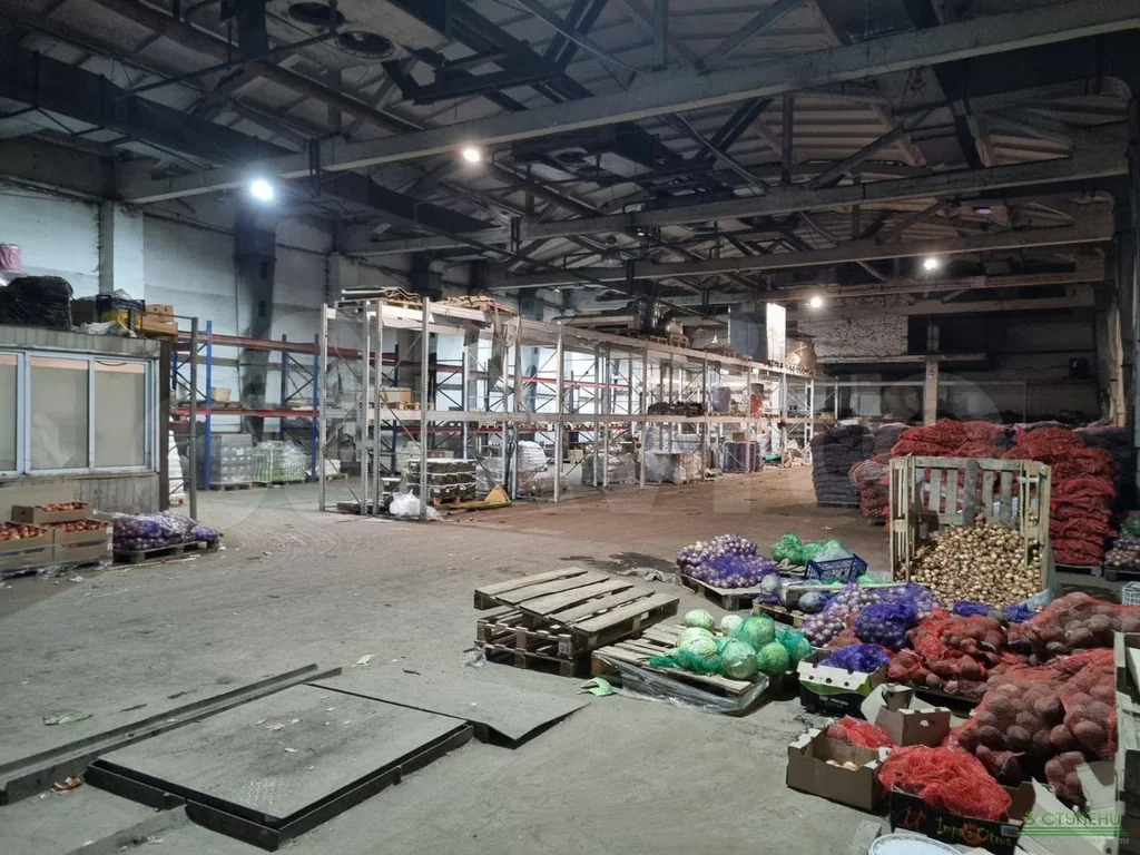 Аренда ПСН, Пушкино, Воскресенский район, Западная улица - Фото 2