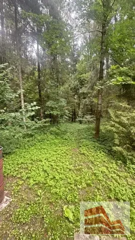 Бревенчатый дом - Фото 18