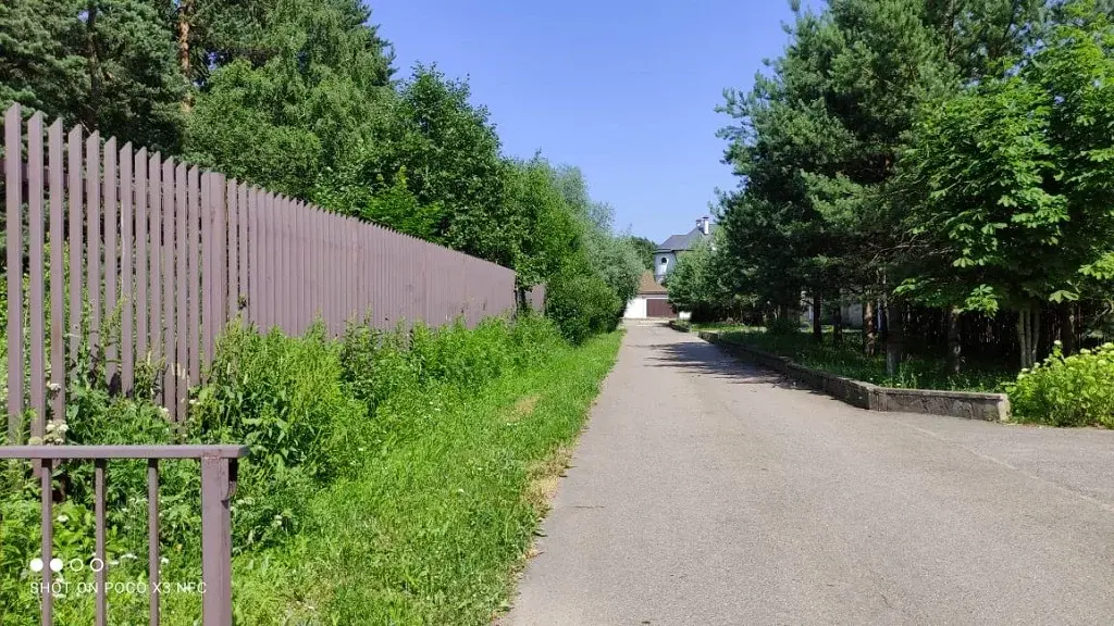 Участок с соснами в районе Барвихи на Рублевке с выходом в парк Раздол - Фото 4