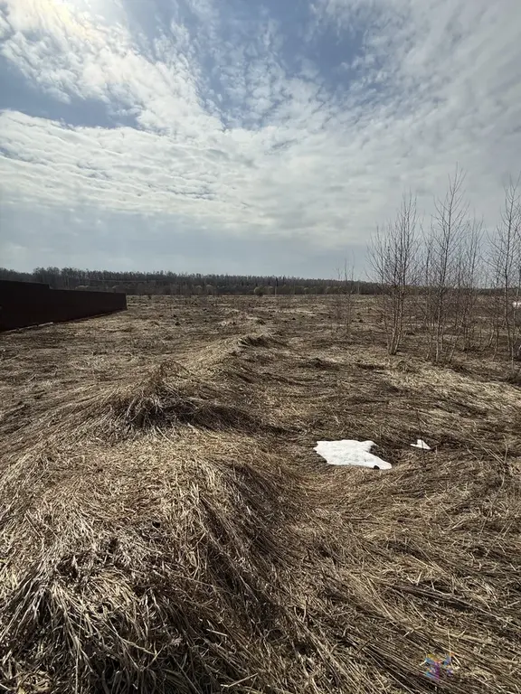 Продаю участок 12 соток под ПМЖ, д. Беспятово, Ступинский район. - Фото 4