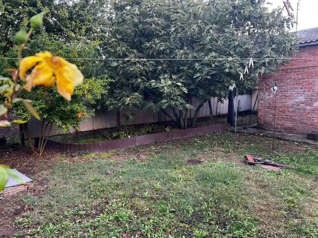 Продажа дома, Сенной, Темрюкский район, Азовский пер. - Фото 15